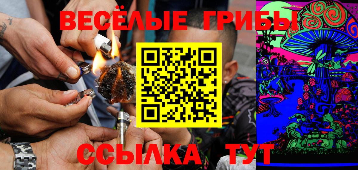 Псилоцибиновые грибы прущие грибы Омск